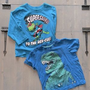 4/$15🌸 2 Dinosaur Boys T-shirts (size 2-3T and 3T)